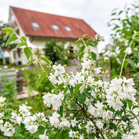 Beutenmuehle Straussenfarm Dach Owingen المظهر الخارجي الصورة