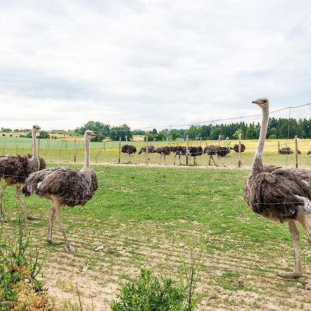 Beutenmuehle Straussenfarm Dach Owingen المظهر الخارجي الصورة