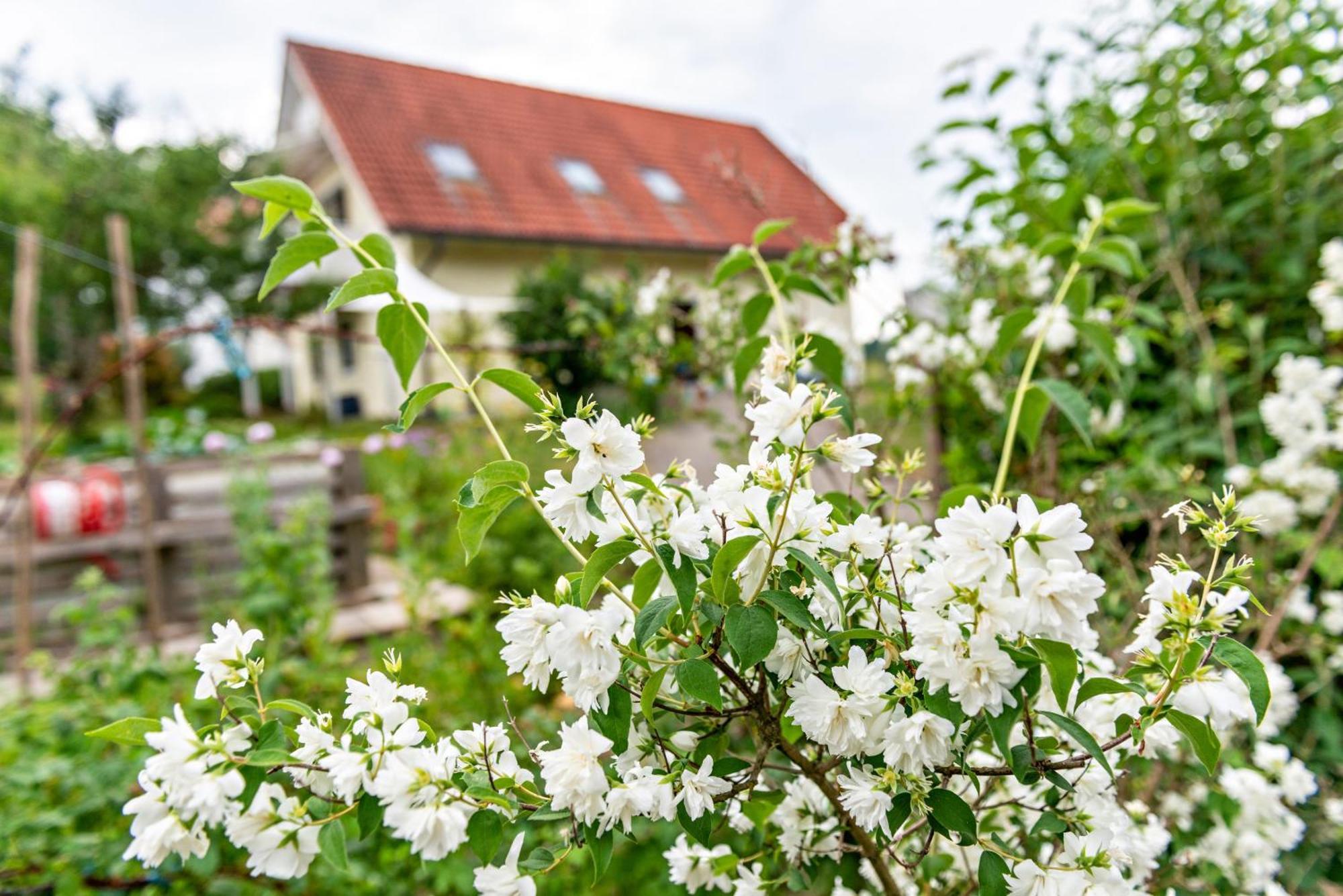Beutenmuehle Straussenfarm Dach Owingen المظهر الخارجي الصورة