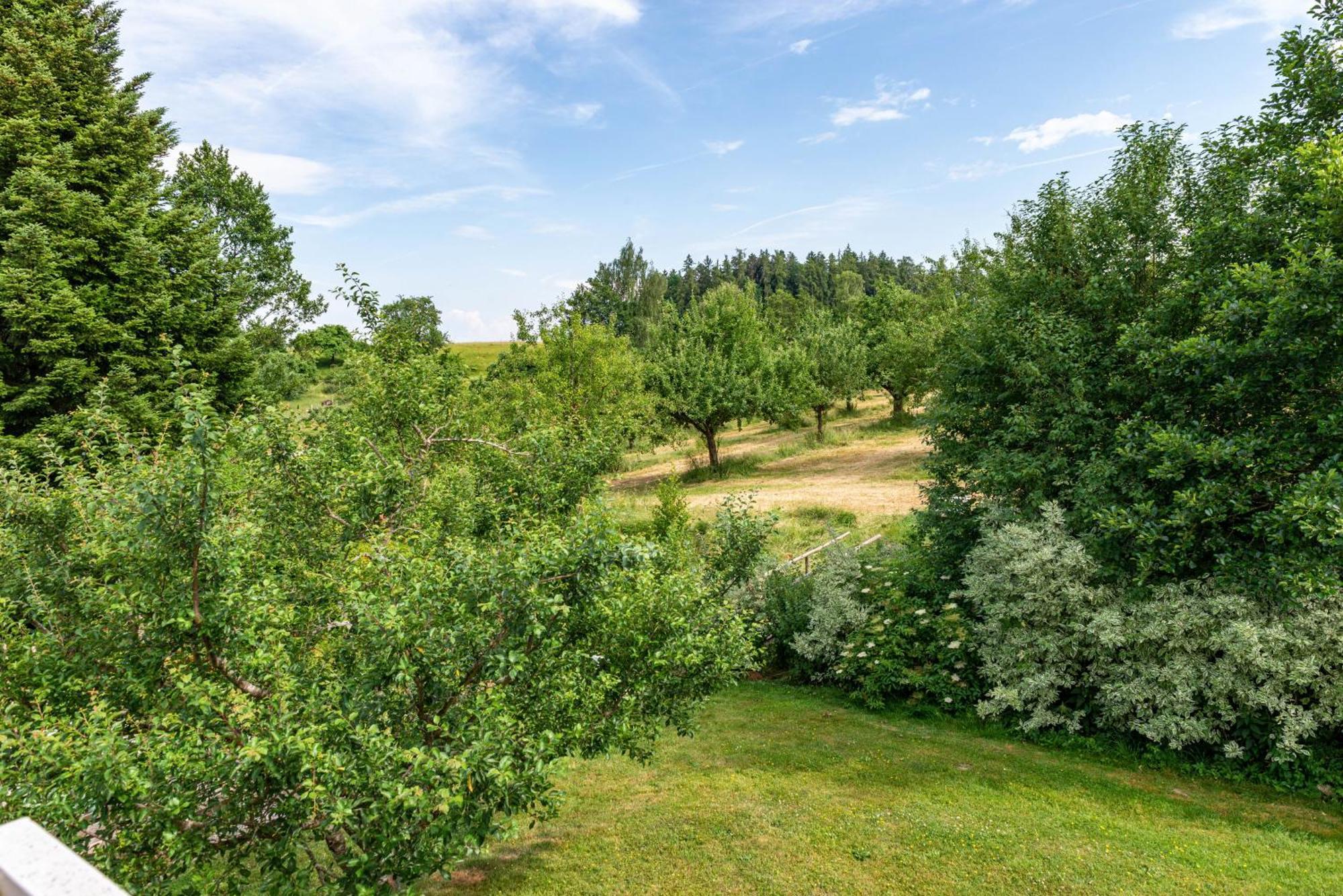 Beutenmuehle Straussenfarm Dach Owingen المظهر الخارجي الصورة